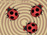 Crazy Ladybugs Online Game