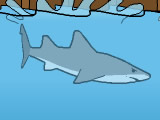 Miami Shark Online Game
