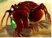 Bug War online game