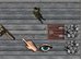 Chronicles of Avael: Prolog online game