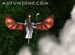 Dragon Wizard online game