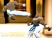 Final Knockout online game