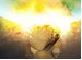 Impactus online game