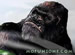 King Kong Jump online game