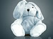 Save the Bunny online game