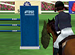Show Jumping online game