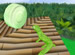 Sweet Tarts online game