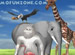 Yeti Sports 5: Flamingo Drive online game